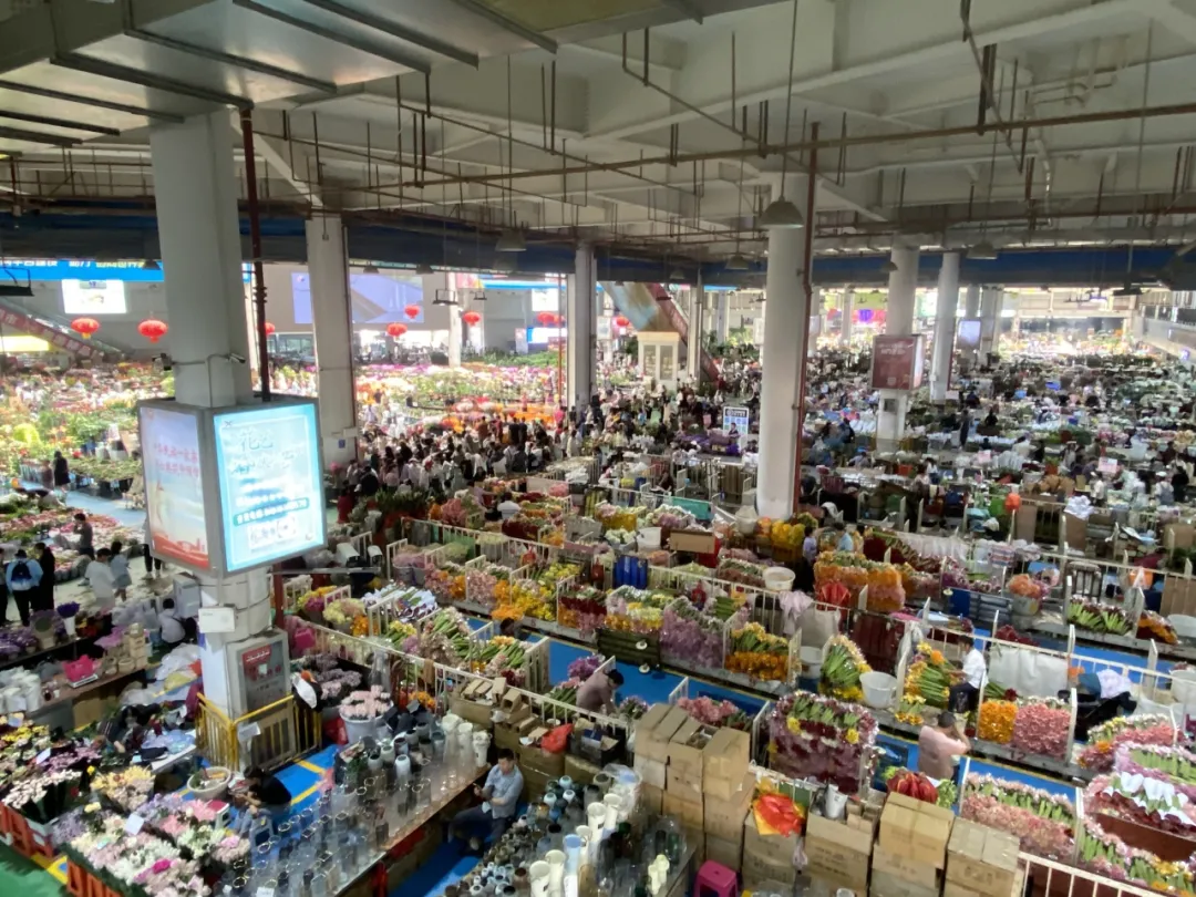 77779193永利集团赴云南花卉市场实地考察员工工作岗位
